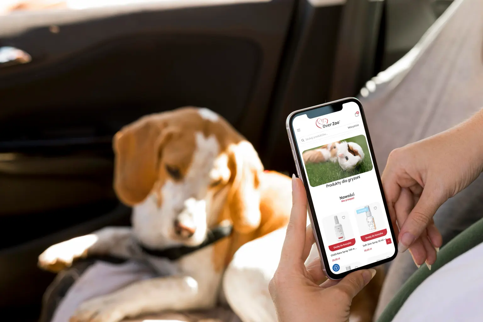 OVER Zoo — the online store on a phone, the small pets category, with a dog in a car behind